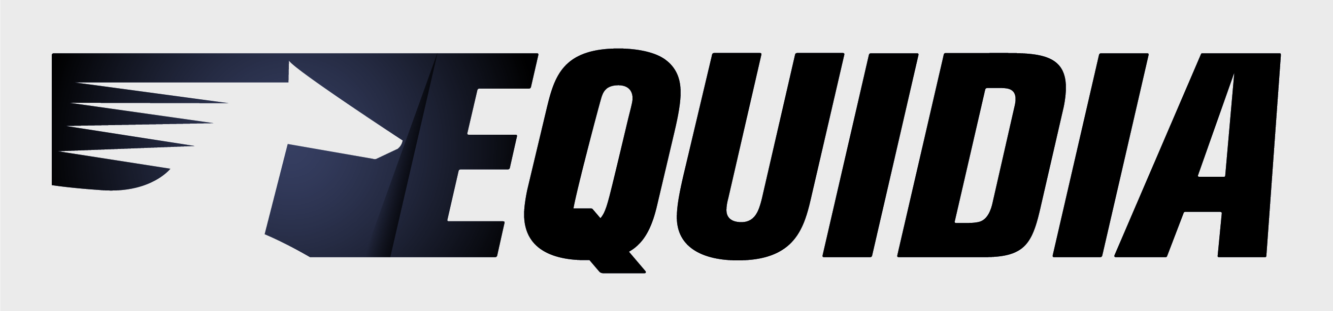 name creation - Equidia